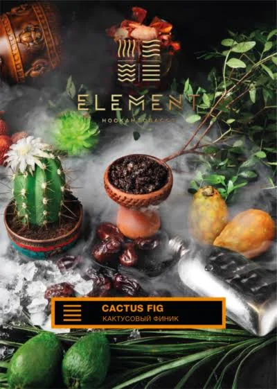 Element Cactus Fig