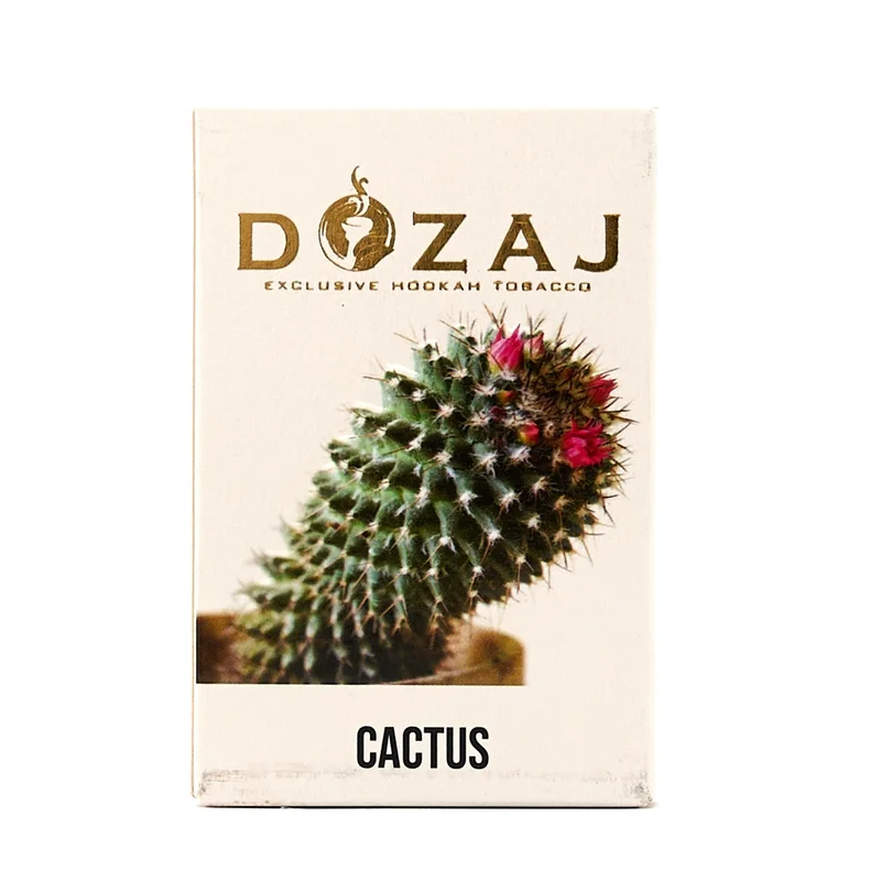 Dozaj Cactus