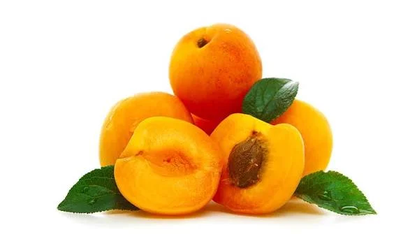 Absolem Apricot with Ice