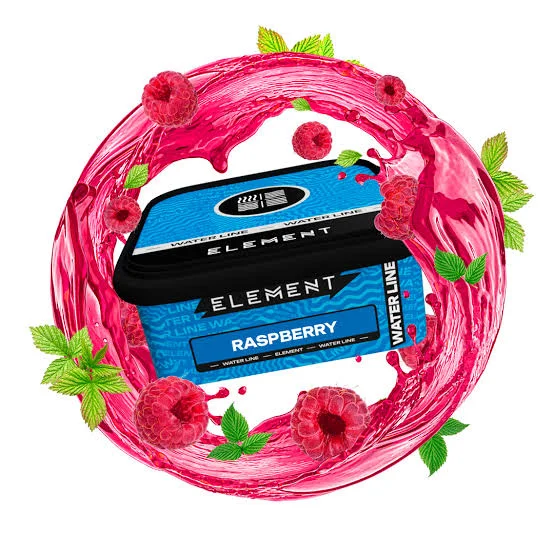 Element Raspberry