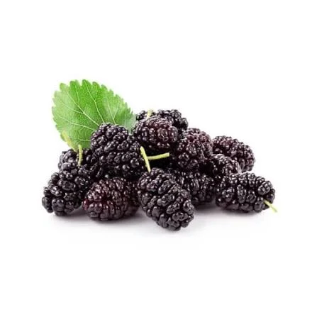 Dozaj Mulberry